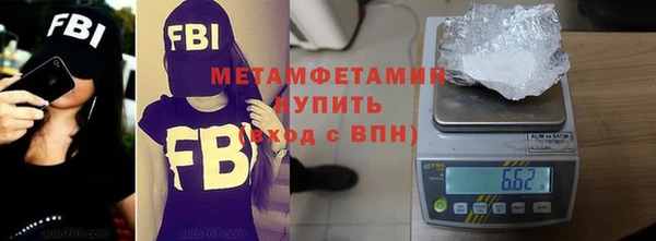 ПСИЛОЦИБИНОВЫЕ ГРИБЫ Дмитриев
