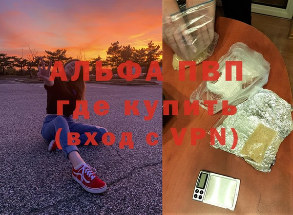 стаф Дмитровск