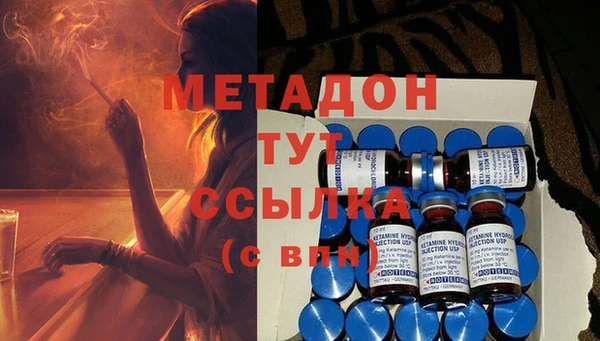 ПСИЛОЦИБИНОВЫЕ ГРИБЫ Дмитриев