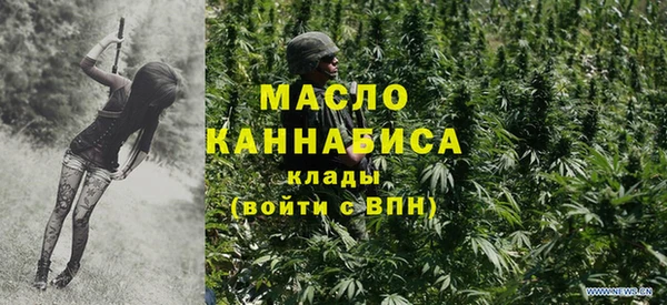 ПСИЛОЦИБИНОВЫЕ ГРИБЫ Дмитриев