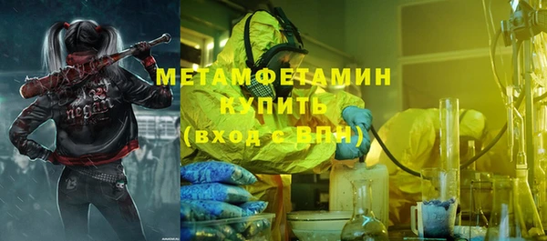 ПСИЛОЦИБИНОВЫЕ ГРИБЫ Дмитриев