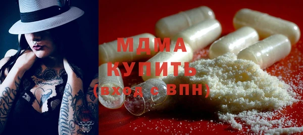 ПСИЛОЦИБИНОВЫЕ ГРИБЫ Дмитриев