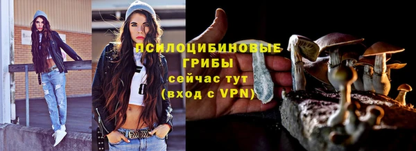 a pvp Дмитров