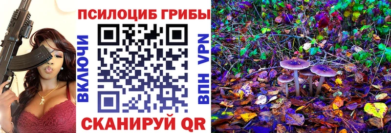 Псилоцибиновые грибы мицелий  Купить закладки  Каргат 